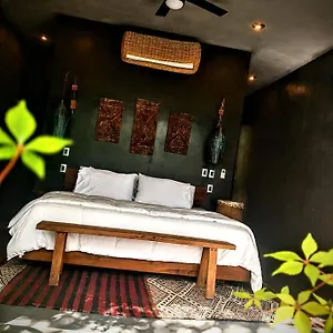 Bed & Breakfast Casa Vive 